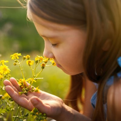 Little girl enjoys the smell of flowers in the meadow